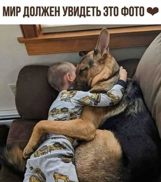 image (22)