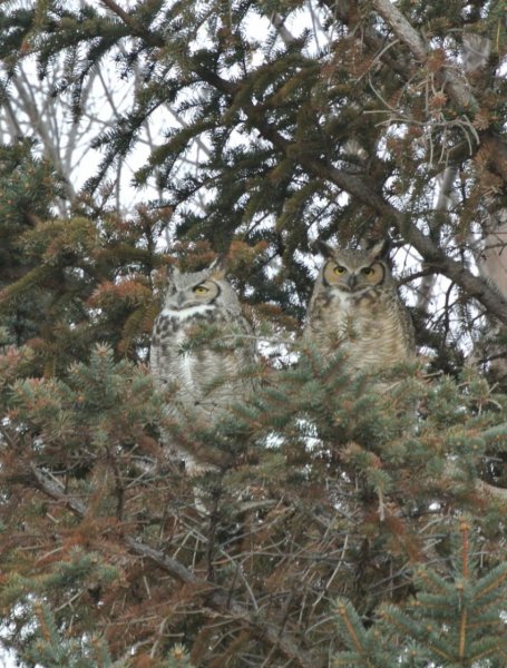 Замаскировались