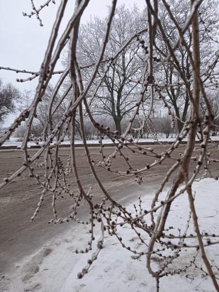 IMG 20260127 135424 1