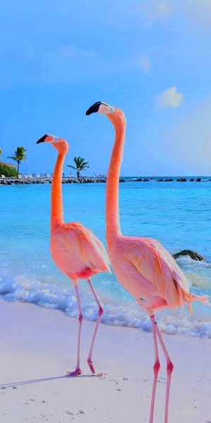 13e9cbb9adff254816a2b6113938ec04