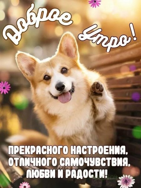 Доброе утро!