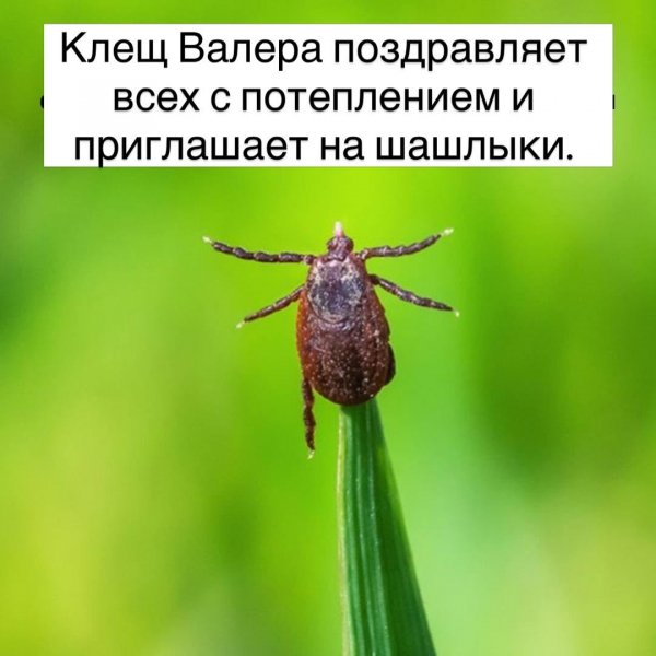 Novopolotsk polotsk.by 19eb3902890f479cb5ac6e4f59bc3a53