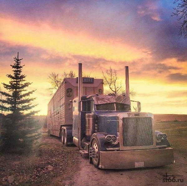 IMG 20171119 161802 10