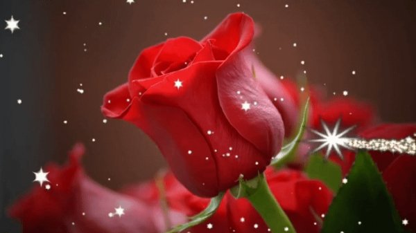 Zhelayu dobrogo vechera ochen krasivaya muzykalnaya video otk