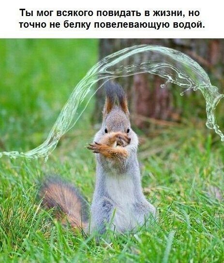 DLPYjwkXcAAyhPB