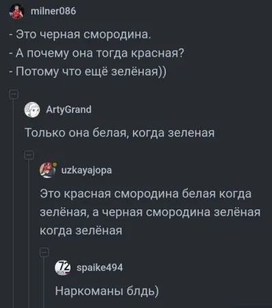 Ягоды