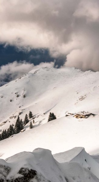 Screenshot 20240516-131346 One UI Home