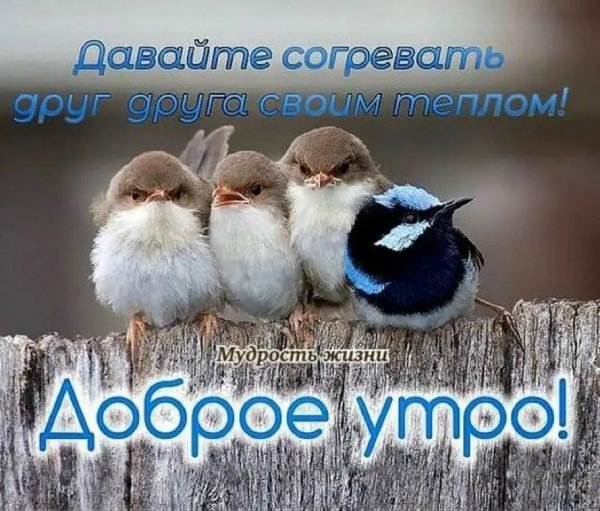 Доброе утро!