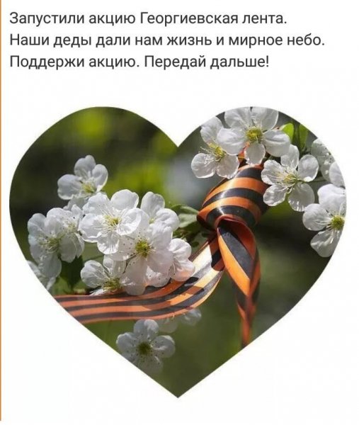 IMG-20190405-WA0002