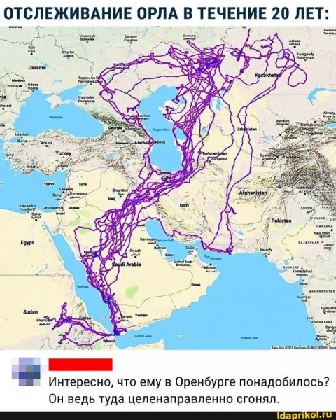 Насыщенная жизнь