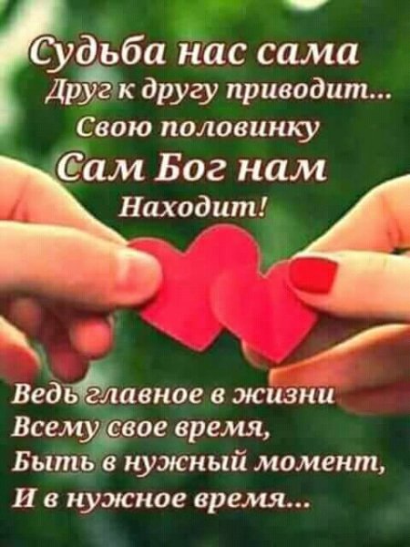 FB IMG 15245855256044088