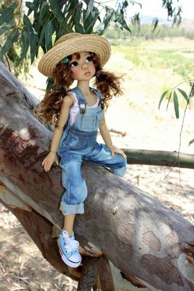 e31e16501425e7a8de4fdc79a8f6d