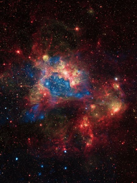 W683502332