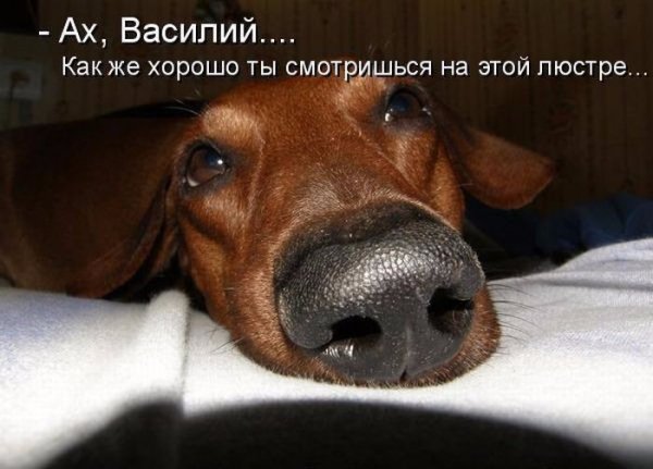 Да! ))