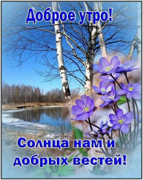 Друзья мои!