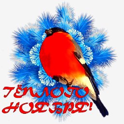 getImage(235)