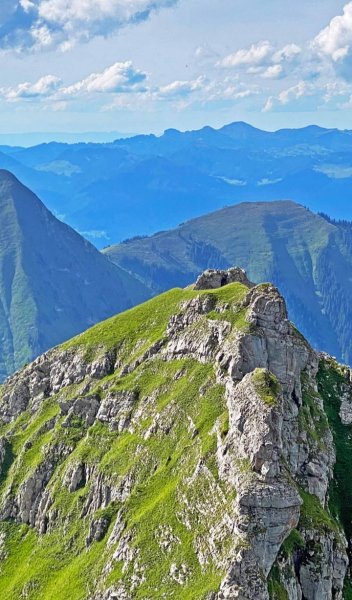 Screenshot 20240516-131416 One UI Home