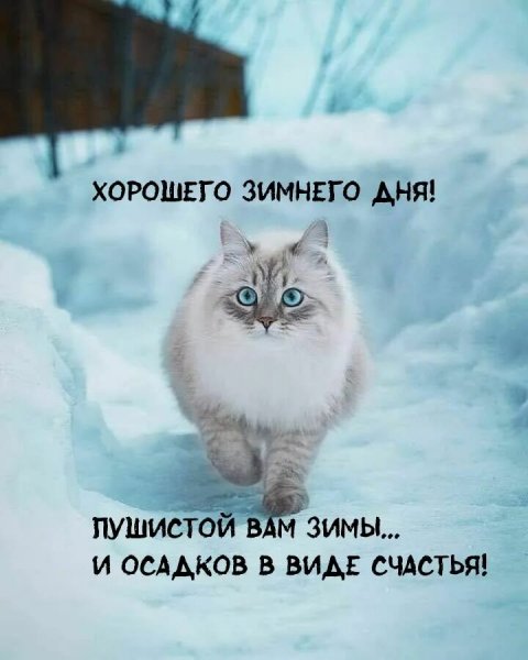 Всем вам!