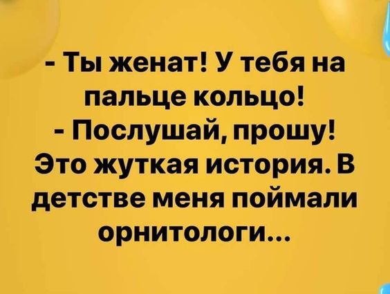 IMG 20250126 215111 189