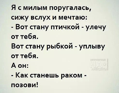 vs17M3t6pbY