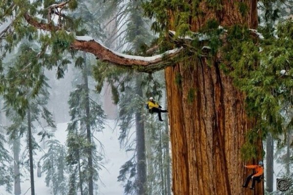 I - 2025-06-05T101540.197