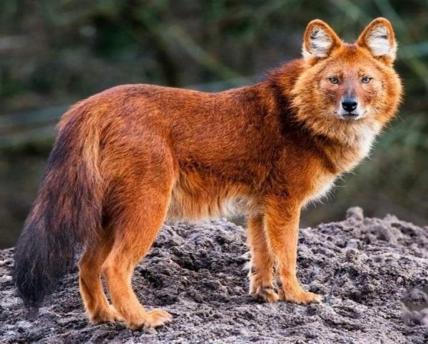 Eae15d5763f1ed82997248d93d5ebb81