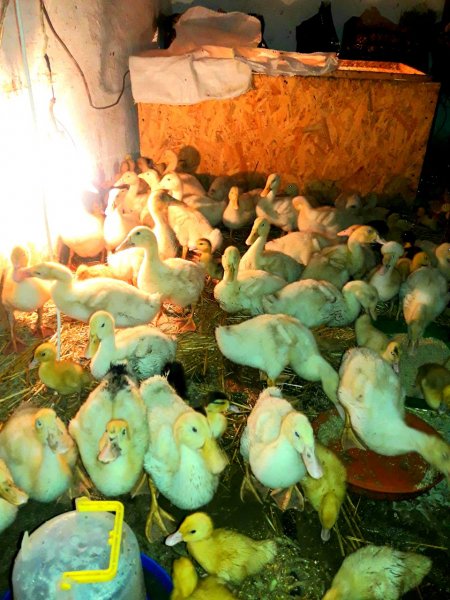 IMG 20240806 204632 243