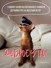 Images (30)