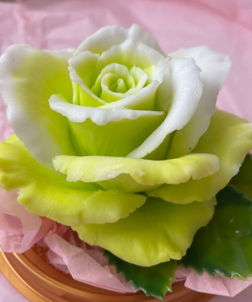 Біло-зелена троянда