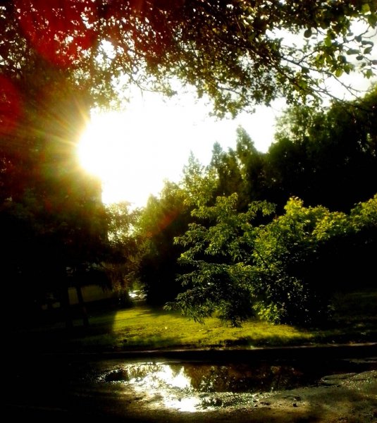 IMG 20150707 1954172