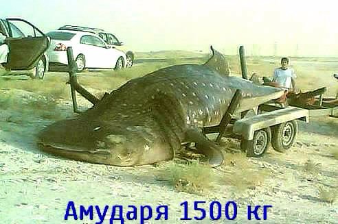 IMG 20150412 225125 1