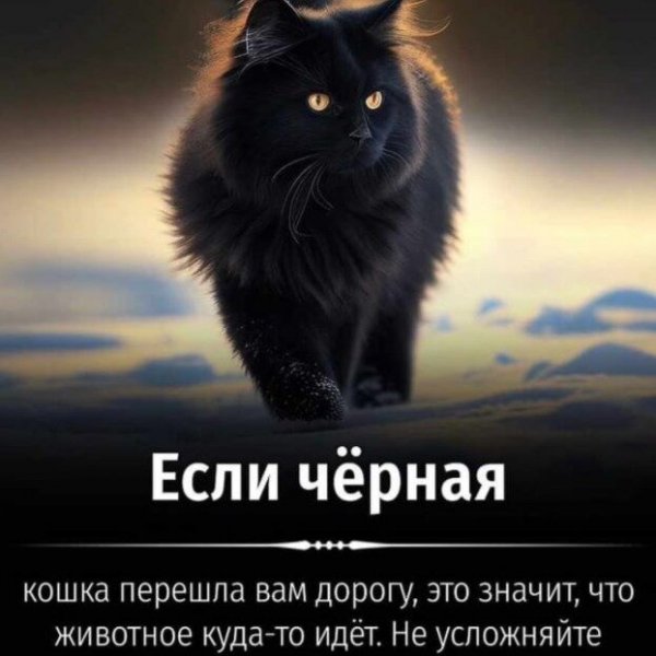Не усложняйте