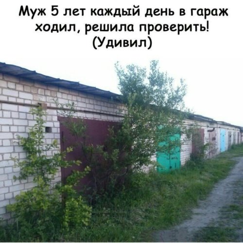 x500
