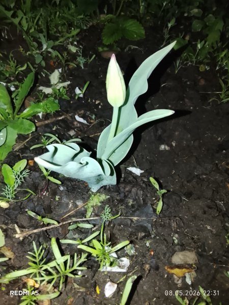 picture_412306369