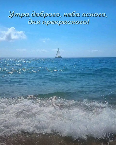 Друзья мои!