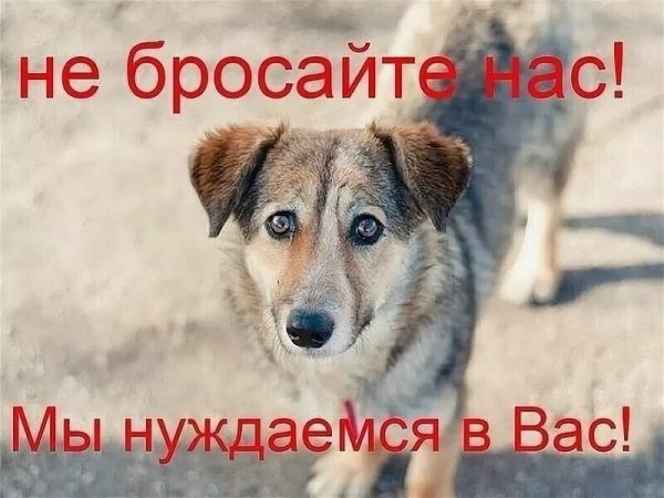 Это надо помнить всегда!
