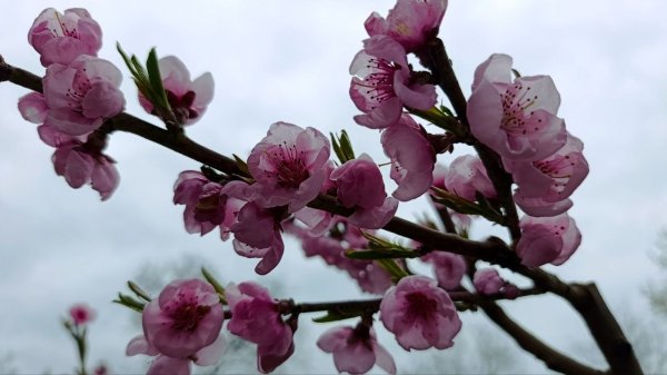 IMG 20260425 124941 368