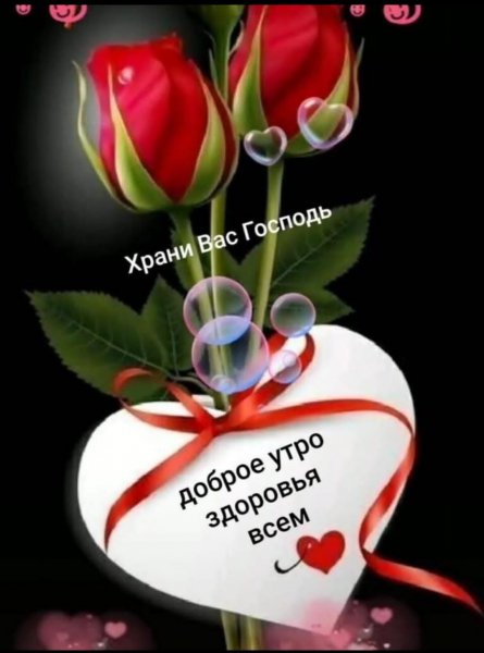 IMG-20220301-WA0000