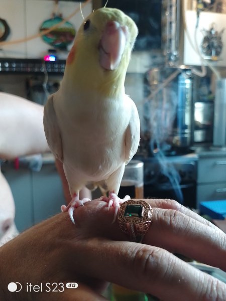 IMG 20250727 164528 279