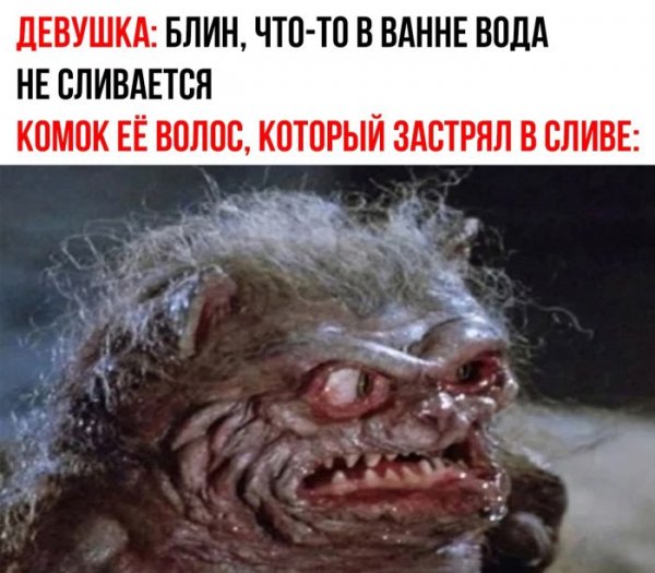 B9f165fdf5 memy-dnja-novye-smeshnye-kartinki-s-nadpisjami-14