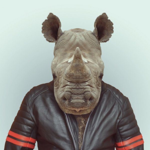 Zoo-Book pixanews-13-680x680
