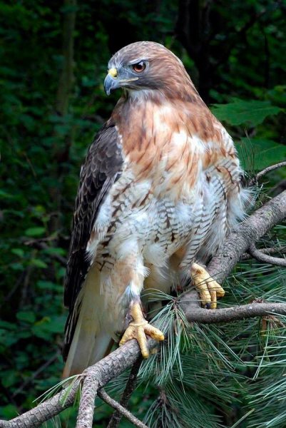 C07bc9ca9ed701fc76260fc56dd6c2d9