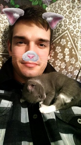 Cat ^ ^