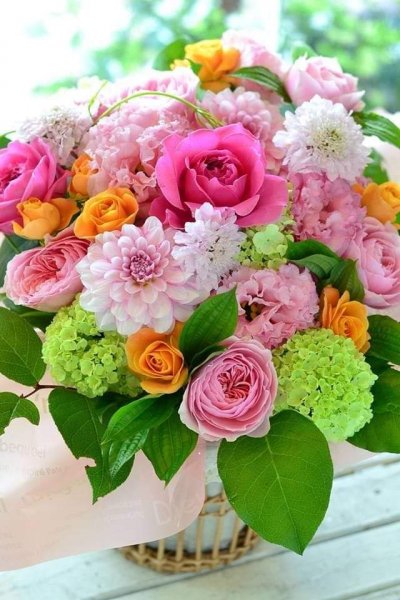 FB IMG 1614222319900