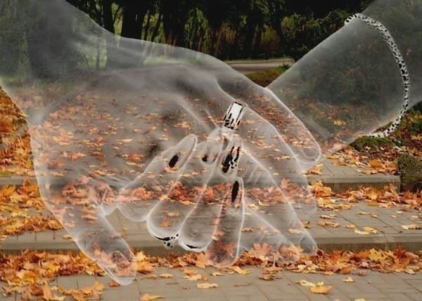 getImage