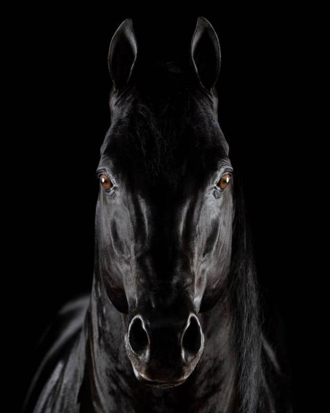 d0d3781c982e6760c6488f50b8d4c91f