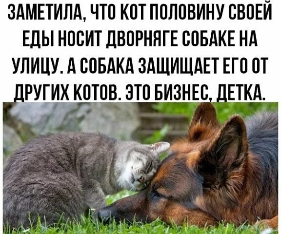 Это бизнес, детка