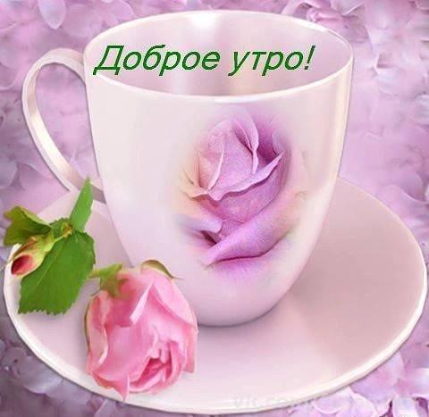 IMG 20180424 075847 69