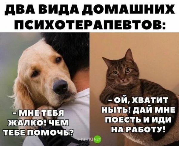 Где-то так... )))