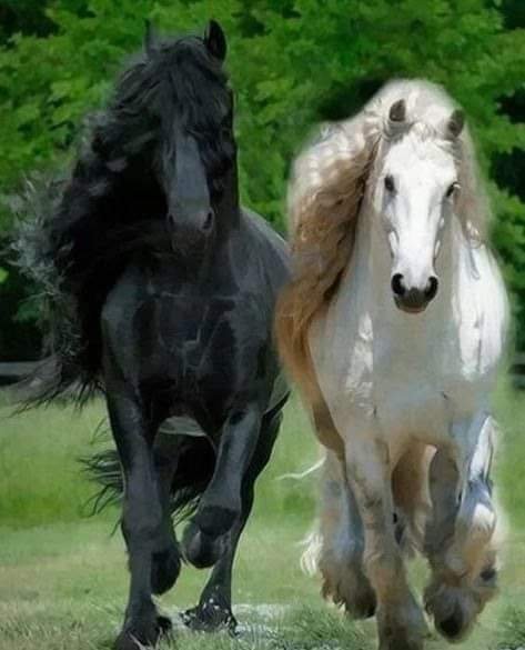 08-01-02-224747504 501655587600268 2959939850697347211 n